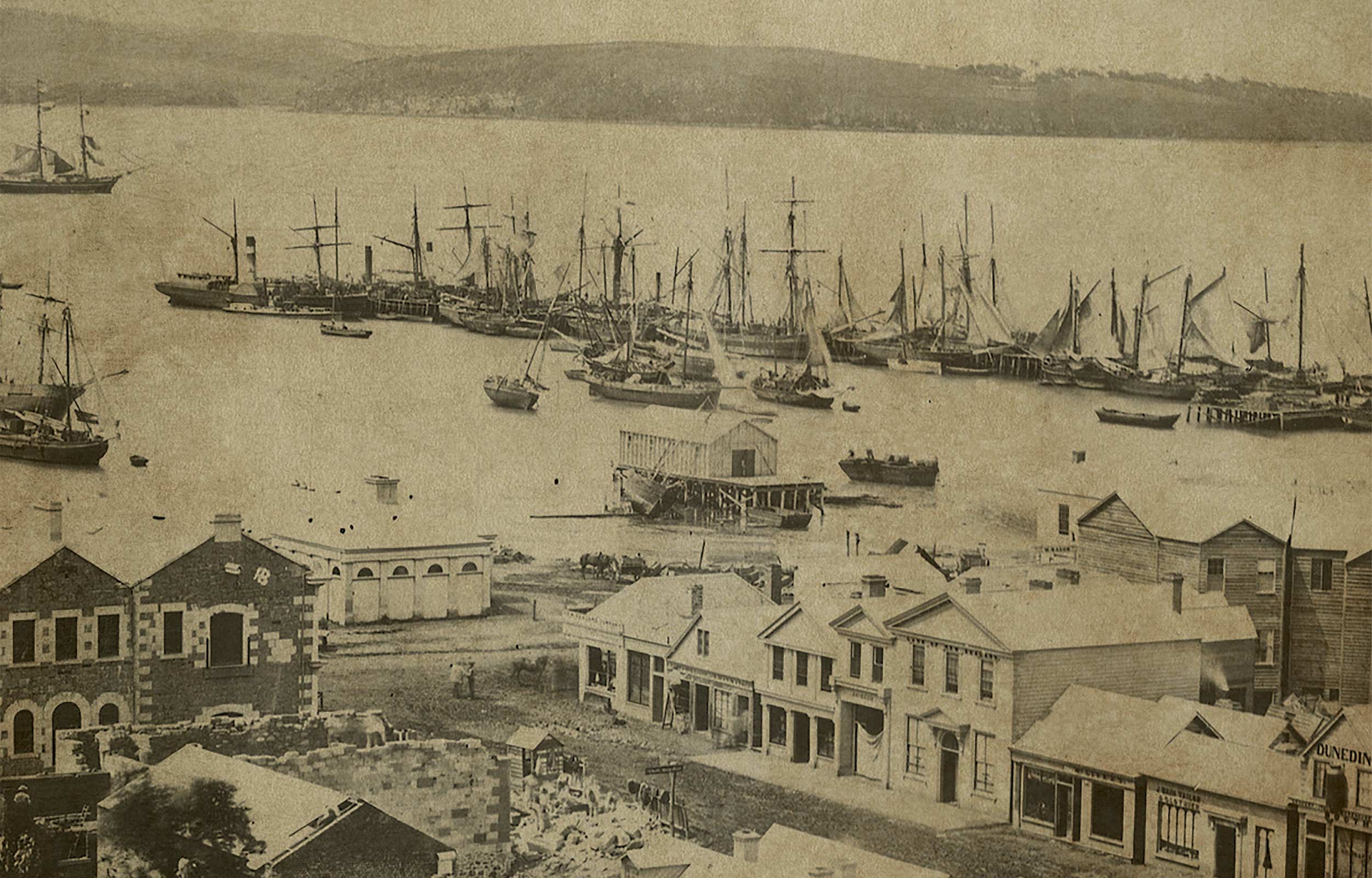 CBK_Dunedin-main-image-2